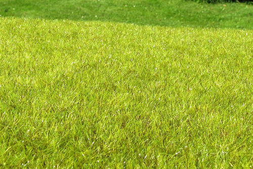 Model Scene - F010 - Light Green Wetland Mat (18x28cm)