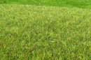 Model Scene - F011 - Mid Green Wetland Mat (18x28cm)