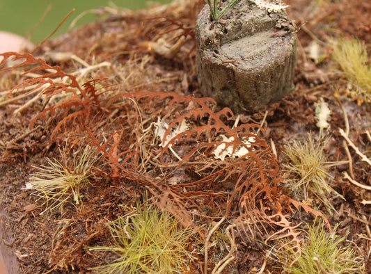 Model Scene - VG7-017 - Small Dry Fern
