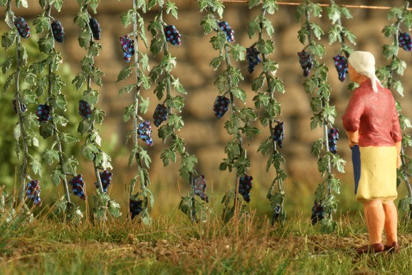 Model Scene - VG7-222 - Small Grapevine