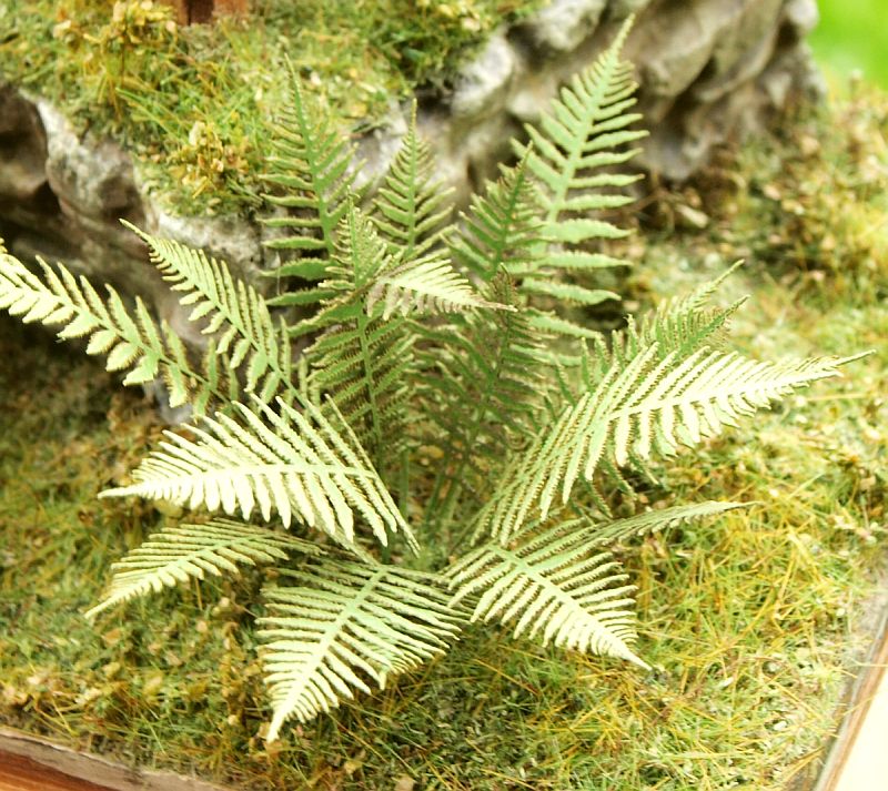 Model Scene - VG3-001 - Large Fern