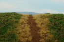 Model Scene - F551 - Grass Mat with Dirt Track in Dry Spring (18x28cm)