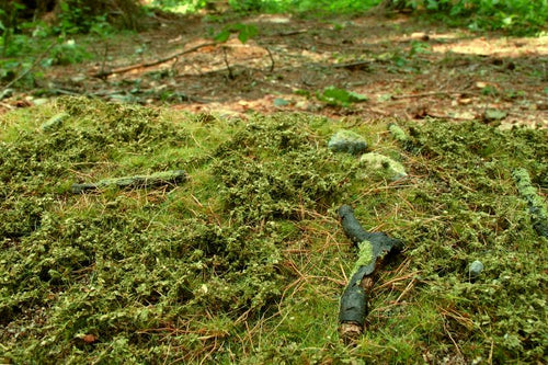 Model Scene - F601 - Forest Base Mat in Spring (18x28cm)