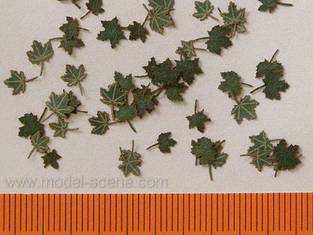 Model Scene - L3-001 - Large Green Maple Leaves