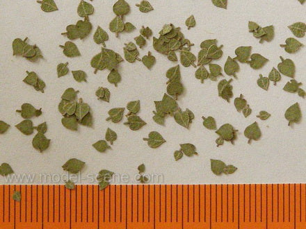 Model Scene - L3-003 - Large Green Lime Leaves