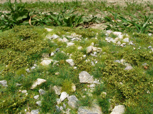 Model Scene - F722 - Medium Stones in Early Summer Mat (18x28cm)