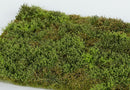 Model Scene - F571 - Wild Area with Bushes Mat in Spring (18x28cm)