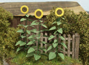 Model Scene - VG3-024 - Large Sunflowers