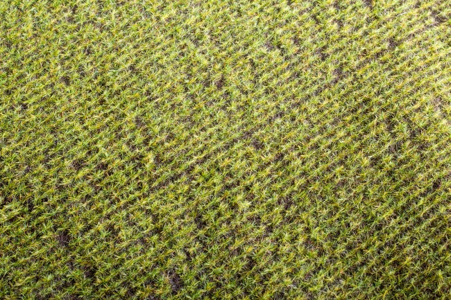 Model Scene - F401 - Spring Field Mat