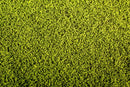 Model Scene - F440 - Alfalfa Field Mat