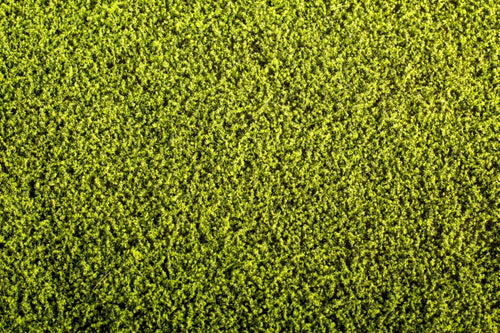 Model Scene - F440 - Alfalfa Field Mat