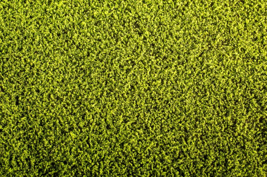 Model Scene - F440 - Alfalfa Field Mat