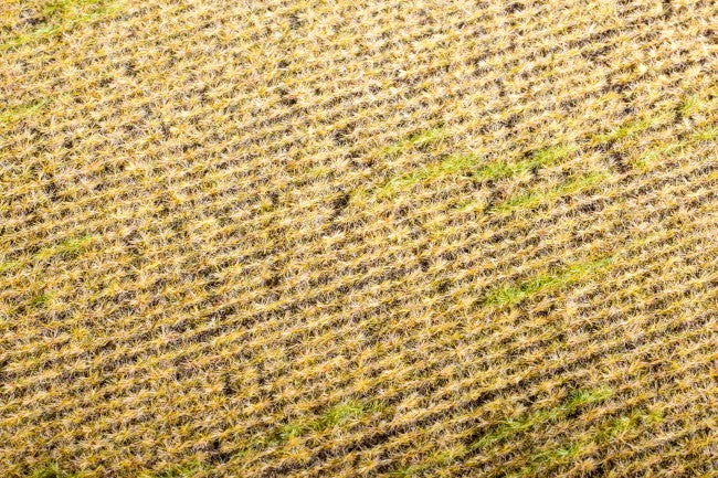 Model Scene - F403 - Stubble Field Mat