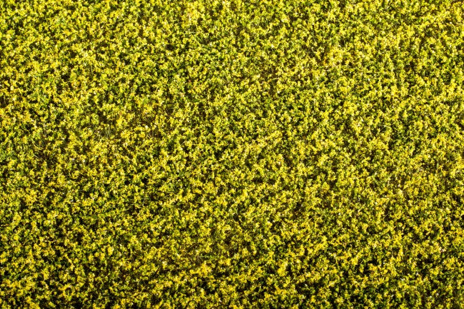 Model Scene - F450 - Rape Field Mat