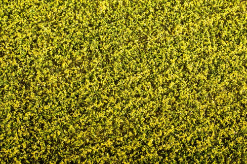 Model Scene - F450 - Rape Field Mat