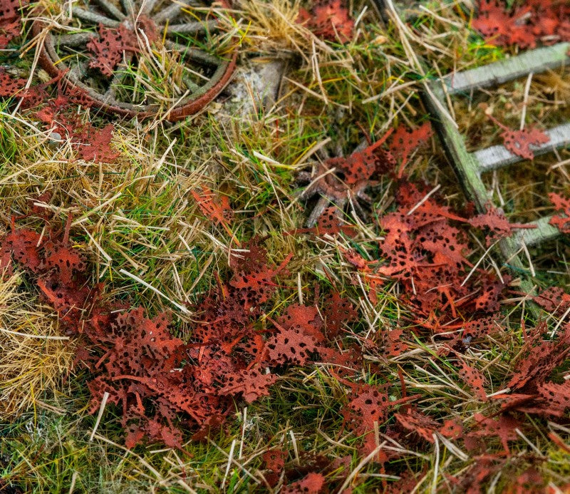 Model Scene - L3-301 - Large Dead Maple Leaves