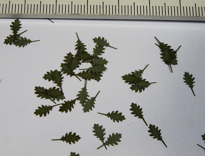 Model Scene - L3-006 - Large Green Northern Red Oak Leaves