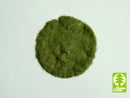 Model Scene - 002-03 - 2mm Grass Flock in Early Summer (50g)