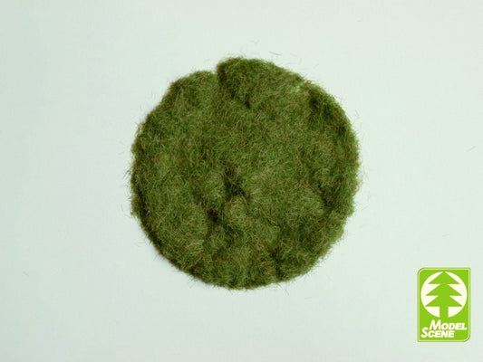 Model Scene - 002-03 - 2mm Grass Flock in Early Summer (50g)