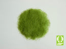Model Scene - 006-01 - 6.5mm Light Green Grass Flock in Spring (50g)