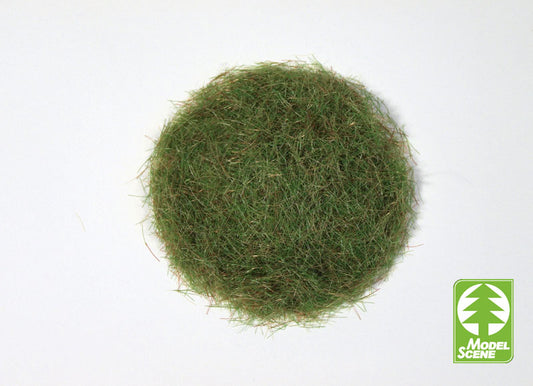 Model Scene - 006-03 - 6.5mm Grass Flock in Early Summer (50g)