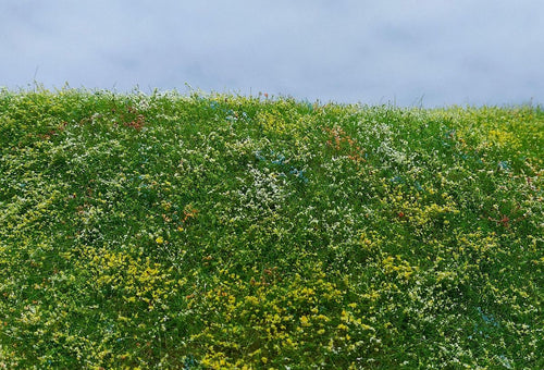 Model Scene - F562 - Blooming Meadow Grass Mat in Early Summer (18x28cm)