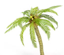 Model Scene - VG7-034 - Medium Palm Leaves