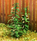 Model Scene - VG3-019 - Large Nettle