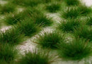 Model Scene - 050-42S - Medium Grass Tufts in Early Summer