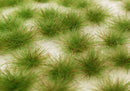 Model Scene - 050-41S - Medium Grass Tufts in Spring