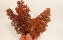 Model Scene - 701-05S - Fine Bushes in Late Autumn
