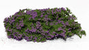 Model Scene - 701-94S - Lilac Flowering Shrubs