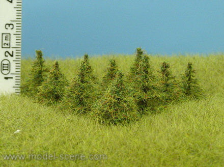 Model Scene - MO015 - Larch Trees (15mm)
