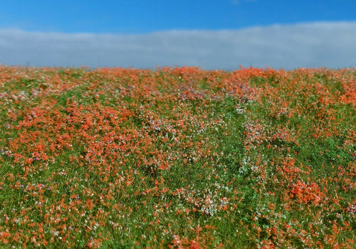 Model Scene - F565 - Blooming Meadow with Poppies Grass Mat (18x28cm)