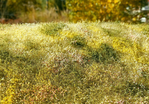 Model Scene - F563 - Blooming Meadow Grass Mat in Late Summer (18x28cm)