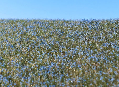 Model Scene - F470 - Blooming Flax Field Mat