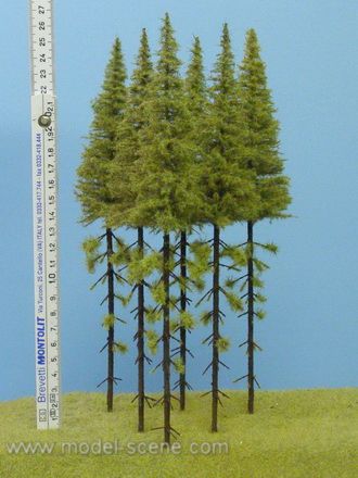 Model Scene - MK250 - Larch Trees with Trunks (230-270mm)