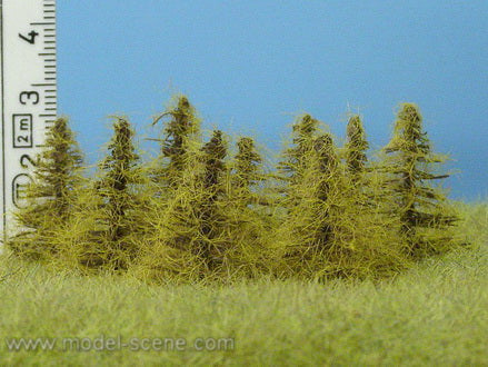 Model Scene - MO034 - Larch Trees in Autumn (25-35mm)