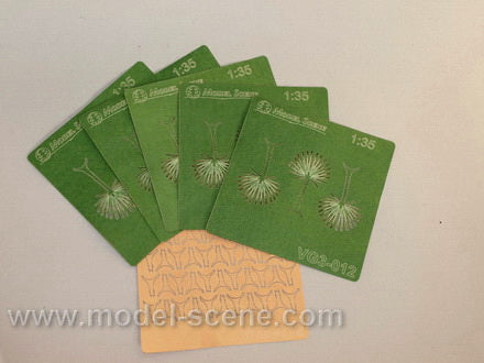 Large Green Palm Leaves (Type II)