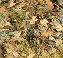 Model Scene - L3-308 - Large European Leaves Mix