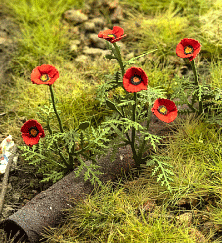 Model Scene - VG3-045 - Large Poppies