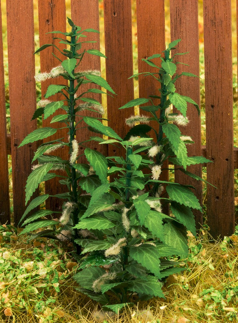 Large Nettle